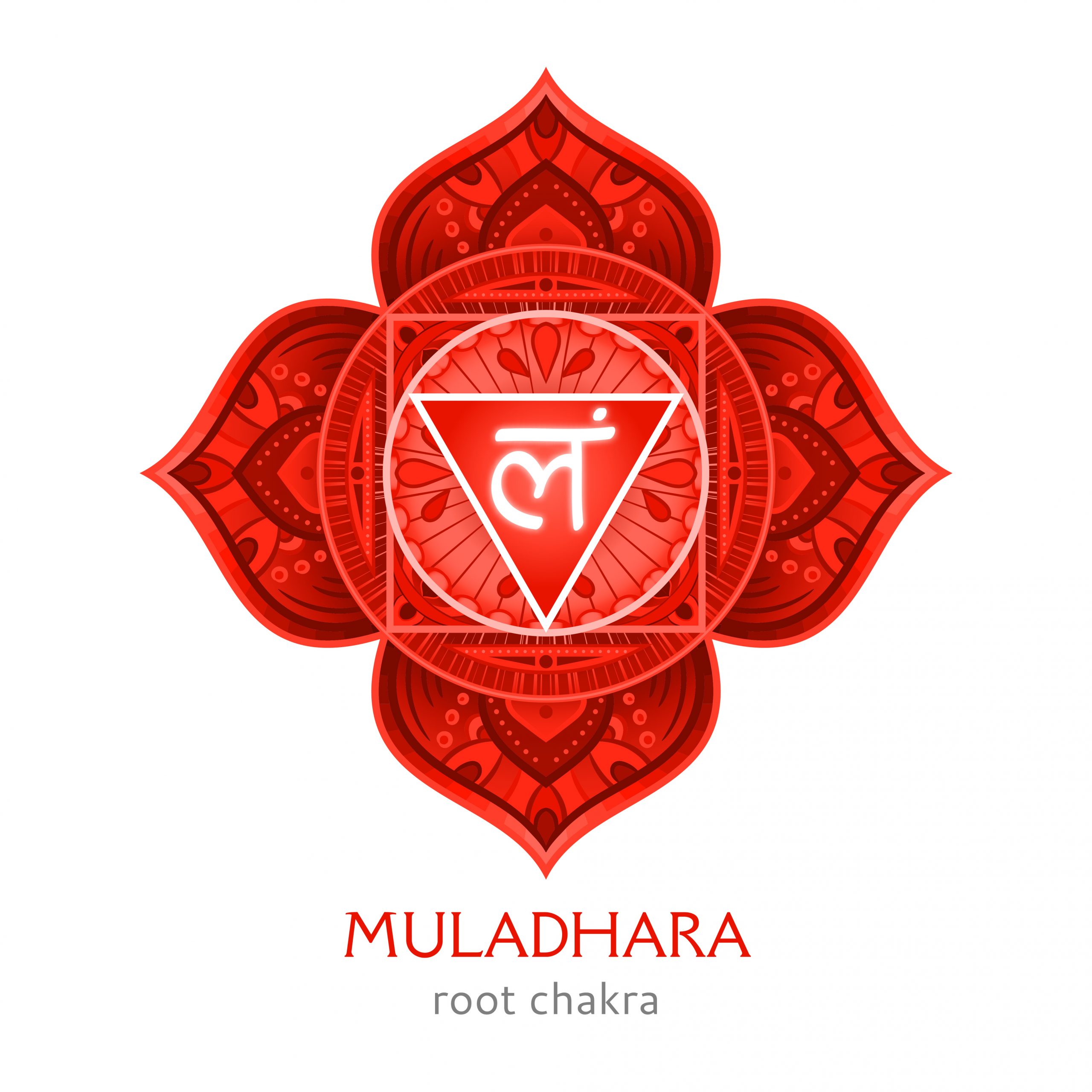 Muladhara, root chakra symbol. Colorful mandala. Vector illustration Muladhara, root chakra symbol. Colorful mandala. Vector illustration