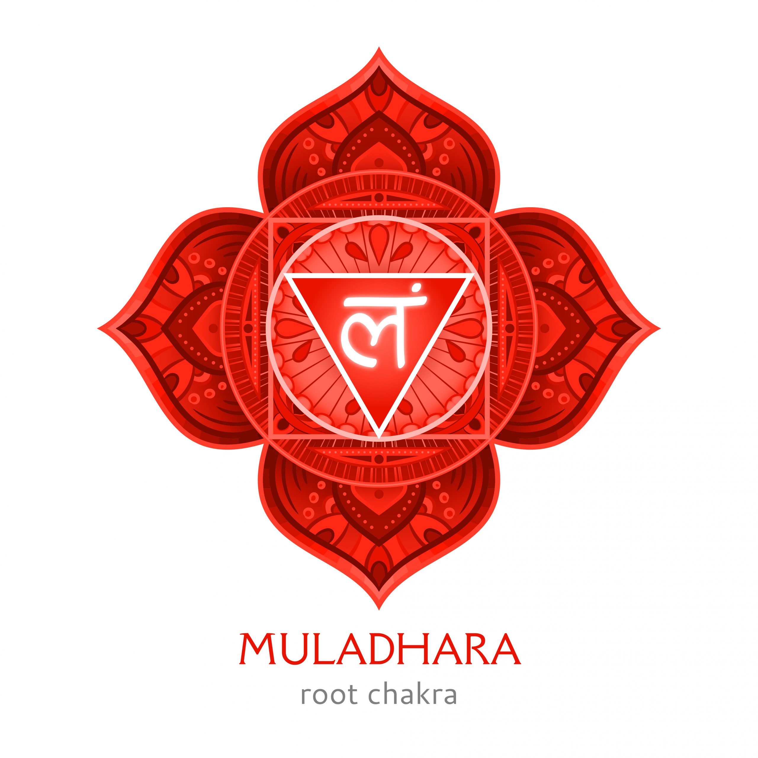 Muladhara, root chakra symbol. Colorful mandala. Vector illustration