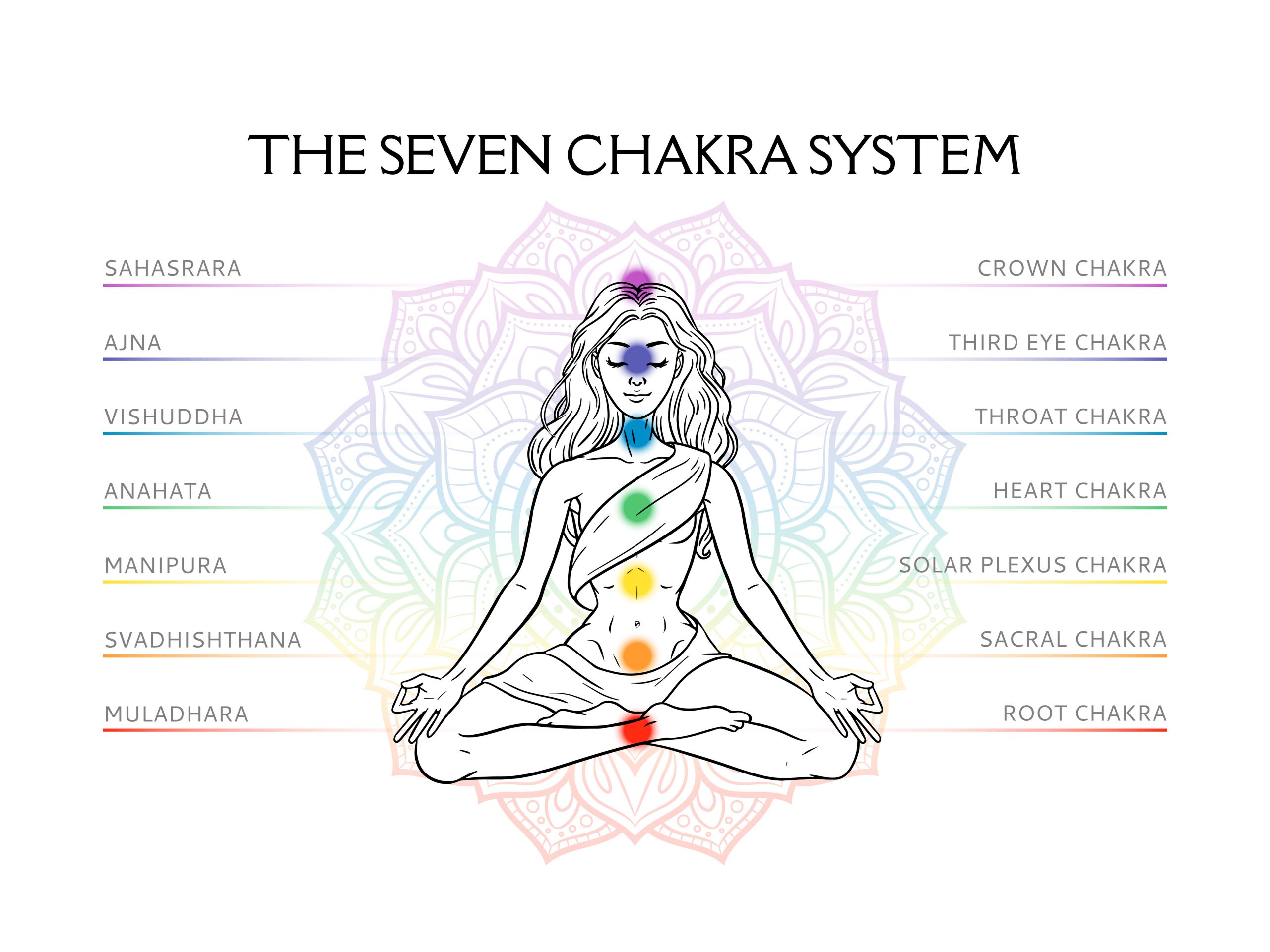 Seven chakra system in human body, infographic with meditating yogi woman, vector illustration Seven chakra system in human body, infographic with meditating yogi woman, vector illustration