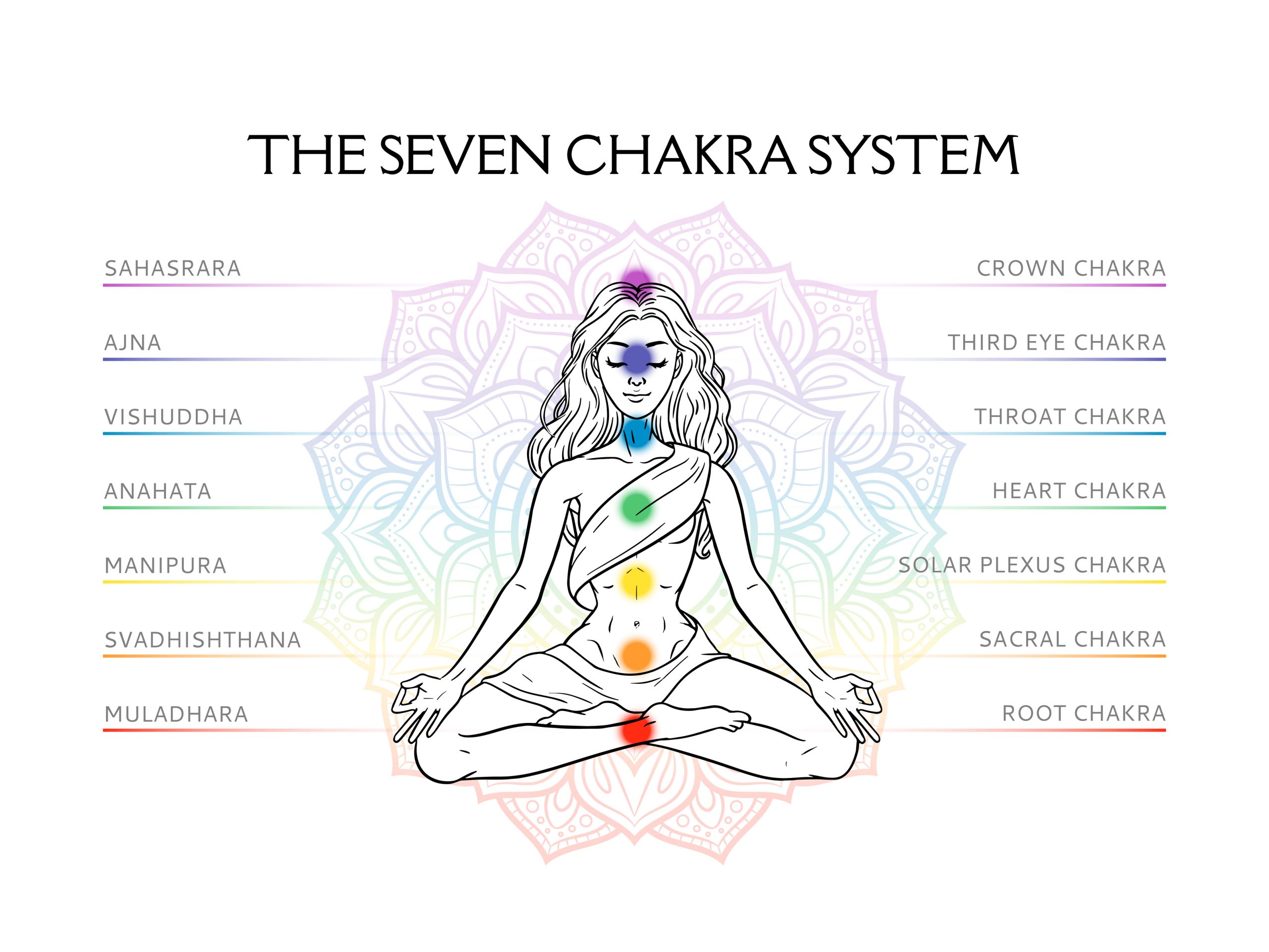 Seven chakra system in human body, infographic with meditating yogi woman, vector illustration